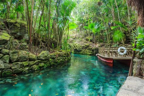 7 of the Best Cozumel Shore Excursions with Norwegian | NCL Travel Blog