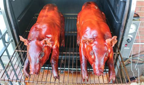 Suckling Pig - Recipe for BBQ Suckling Pig on Smoker