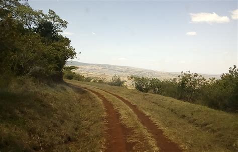 Kakamega, Kenya 2023: Best Places to Visit - Tripadvisor