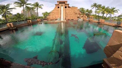 Atlantis Bahamas Water Park January 2015 - YouTube