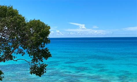 A Guide to the Weather and Climate of Barbados • Terra Caribbean