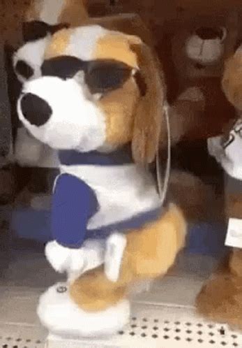 Shake Dog GIF - Shake Dog - Discover & Share GIFs