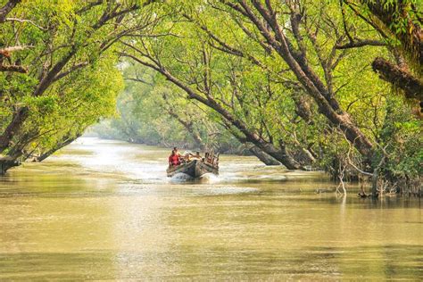 Great Explore | Sundarban Reserve Forest Of Bangladesh | Royal ...