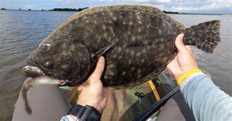 Best Lure For Doormat Flounder (And How To Use It To Catch More Fish)