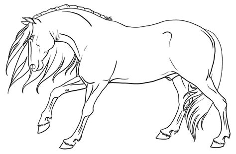 Stallion Lineart by urilium on deviantART | Horse drawings, Horse ...