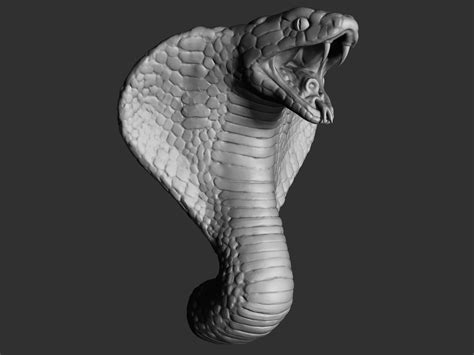 Cobra Head 3D model | CGTrader