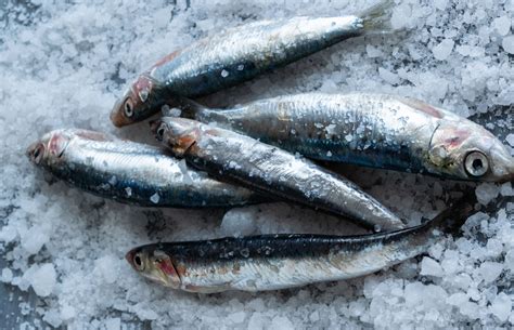 What are anchovies and how do you cook with them?