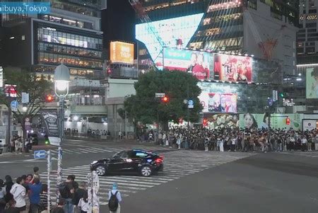 Tokyo: Shibuya Crossing Live Webcam - Japan - World Cams