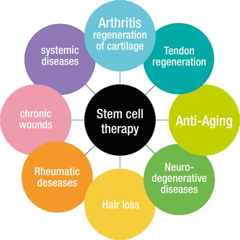 Application areas | Stem Cell Therapy Mallorca | Stem Cell Therapy Mallorca