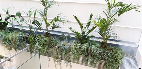 Plantas artificiales decorativas para interiores [2020]