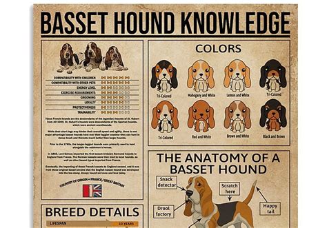 Beagle Size Chart By Age ~ Followisobel