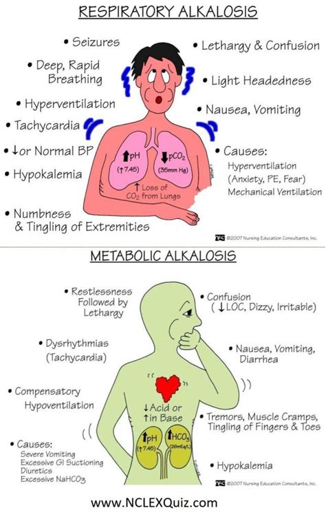 Signs & Symptoms of Metabolic and Respiratory Alkalosis - StudyKorner ...