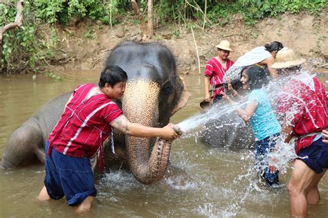 CHIANG MAI ELEPHANT JUNGLE SANCTUARY - CHIANG MAI TOURS