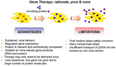 Frontiers | Gene Therapy for Bone Engineering | Bioengineering and ...