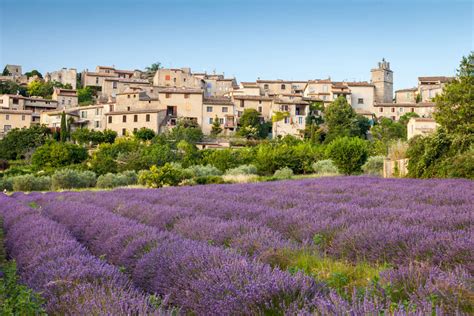 Best Lavender Fields in Provence, France [2021] - France Bucket List