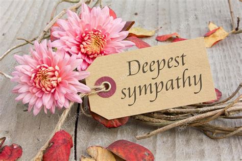 Deepest sympathy Stock Photo by ©coramueller 57172695