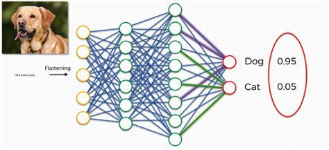 Convolutional Neural Networks (CNN): Softmax & Cross-Entropy - Blogs ...