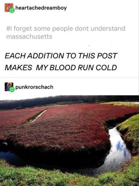 Wolf Spiders Of The Cranberry Bog: A Tumblr Thread