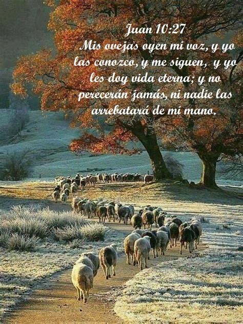 Jesús es el Buen Pastor y somos ovejas de su prado | Jesus buen pastor ...