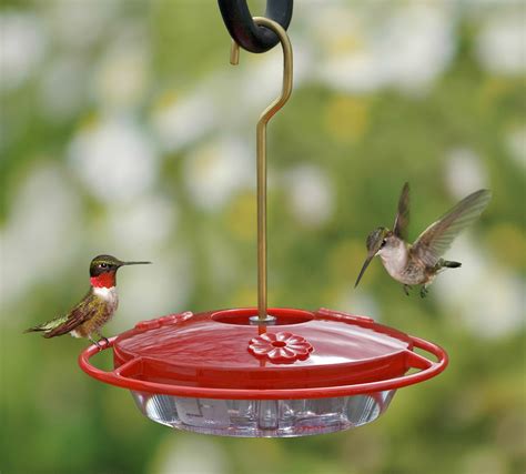 How to make Homemade Hummingbird Nectar Recipe - Going Evergreen