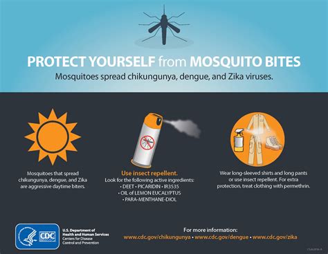 CDC Global Health - Infographics - Protect Yourself from Mosquito Bites