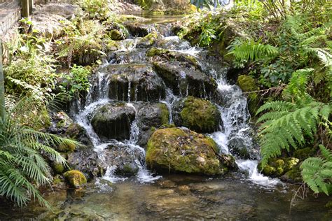 No Bad Days RVing: Rainbow Springs State Park