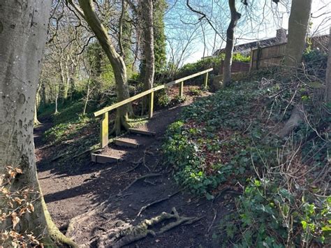 Sheffield woodland to go under the hammer | Mark Jenkinson