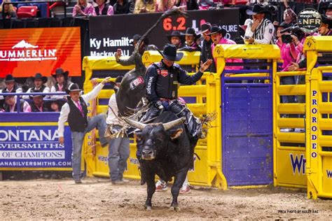 Ky Hamilton dominates PRCA bull riding world standings | Queensland ...