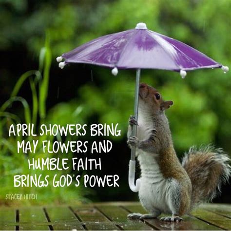 a squirrel is holding an umbrella in the rain while standing on it's ...