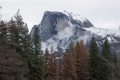 Winter Camping in Yosemite: What You Need to Know - Sights Better Seen