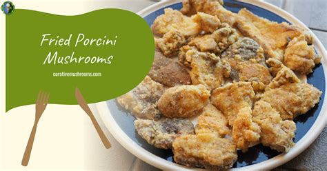 Porcini Mushroom Recipes: Top 5 Delicious and Easy Recipes