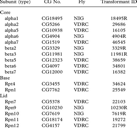 Proteasome subunits . | Download Table