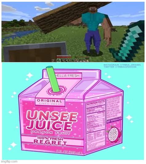 Cursed Minecraft Memes Clean