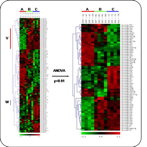 MicroRNA Microarray Data Analysis - LC Sciences - Technologies for ...