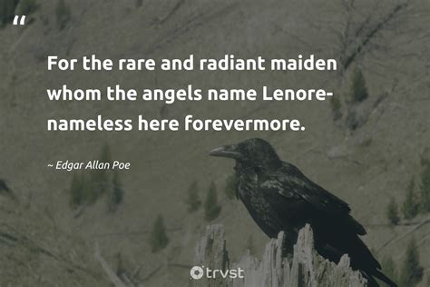 Edgar Allan Poe Raven Quotes - Hermia Wilhelmine