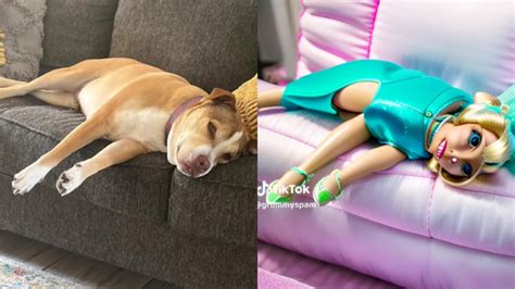 A New TikTok Trend Turns Dogs Into Cursed Barbie Dolls