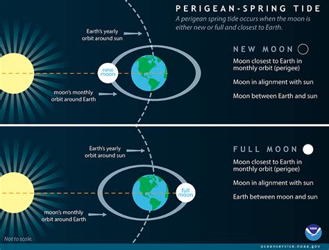 What is a perigean spring tide?