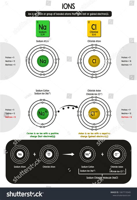 Ions Infographic Diagram Showing Atoms Structure Stock Illustration ...