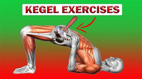 TOP Kegel Exercises For MEN 🔨 Complex KEGEL Exercises For MAN 🔨 | Kegel ...