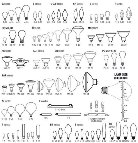 Bulb Shapes and Sizes — The Lighting Factory Inc