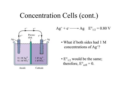 PPT - Lecture 13: The Nernst Equation PowerPoint Presentation - ID:6787763