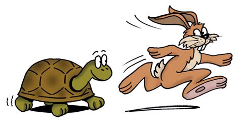 Collection of PNG Hare And Tortoise. | PlusPNG