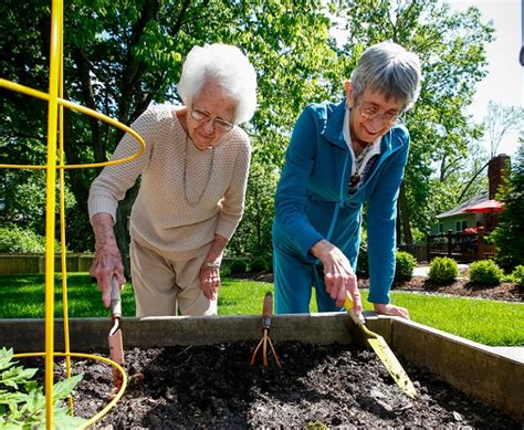 Daily Life at Our Senior Care Homes | Activities in Care Homes