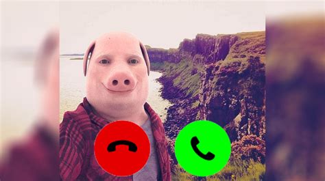 Who Is 'John Pork' And Why Is He Calling You? TikTok's Favorite Pig Man ...