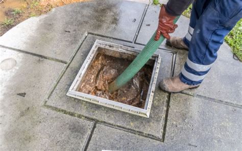 Sewage Coming Out of Pipe in Yard: Causes and Response ...