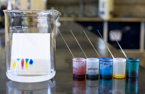 Paper chromatography | Definition, Method, & Uses | Britannica