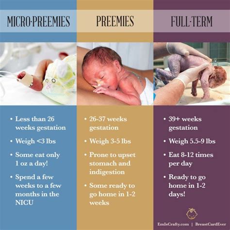 Pin by Jenna Thiele on Preemie Life | Nicu nurse education, Newborn ...