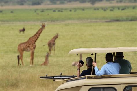 4 Days Akagera National Park Safari | Akagera National Park Safaris