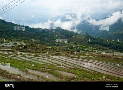 Sapa region, North Vietnam - Rice fields Stock Photo - Alamy