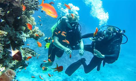 Scuba Diving - Tips to Remember Before You Dive -Kerala Travel Blog